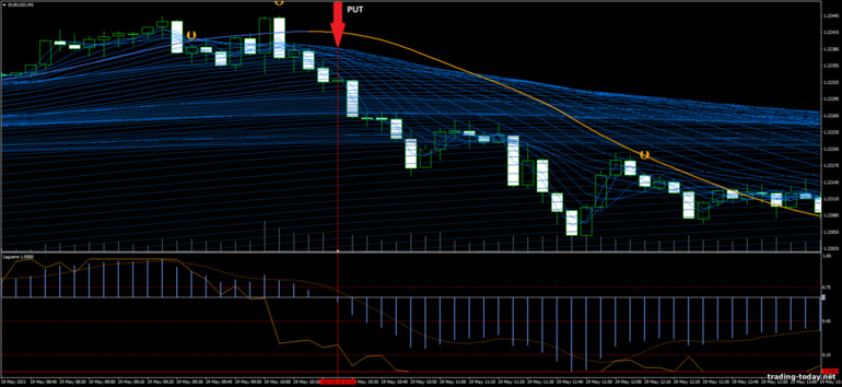 Strategy for binary options, Forex and CFD - Scalping Panther: down