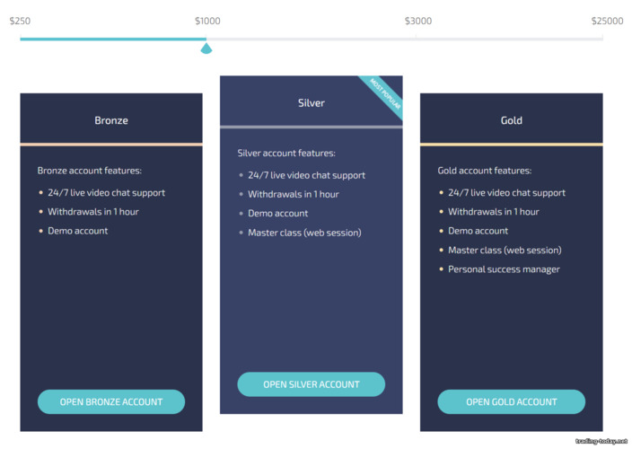 Types of Trading Accounts at DaxBase Broker