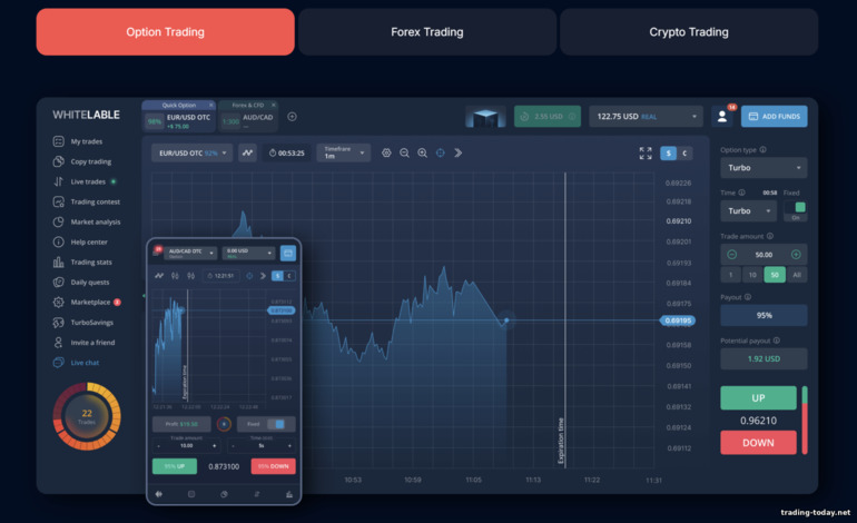 Trading Platforms of Finministry Partners