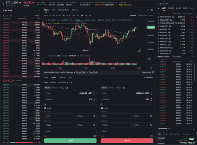 Binance Margin Trading Guide