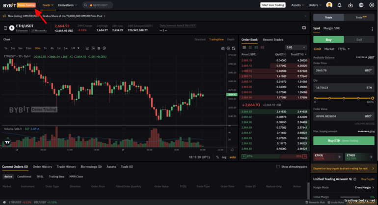 ByBit Demo Trading Feature